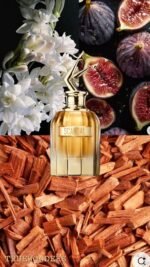 ⁦Jean Paul Gaultier | Jean Paul Gaultier Scandal Absolu Parfum⁩ - الصورة ⁦4⁩