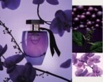 ⁦Victoria's Secret Very Sexy Orchid⁩ - الصورة ⁦4⁩
