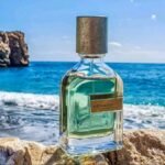 ⁦Orto Parisi Megamare⁩ - الصورة ⁦2⁩