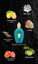 ⁦Erba pura Xerjoff⁩ - الصورة ⁦4⁩