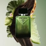 ⁦Paradigme Prada⁩ - الصورة ⁦3⁩