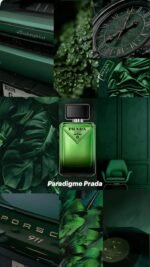 ⁦Paradigme Prada⁩ - الصورة ⁦5⁩